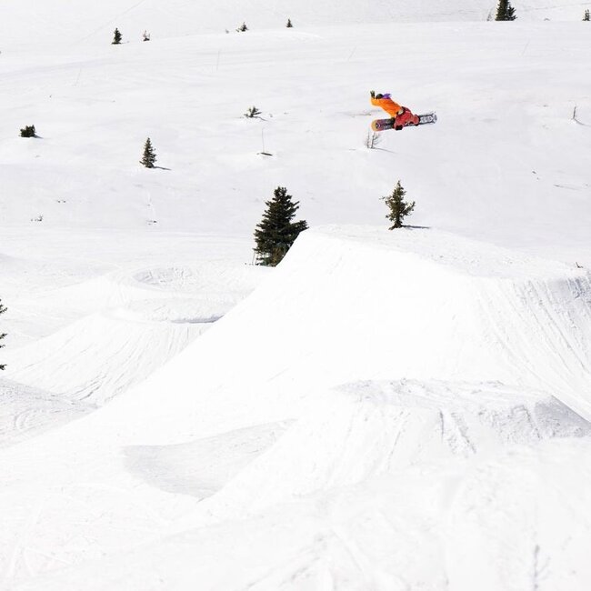 Doughboy - Snowboard Herre | Directionl Twin | Flex 7
