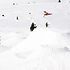 Doughboy - Snowboard Herre | Directionl Twin | Flex 7