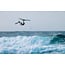 Unit SLS Concept Blue 2026 – Sterk, lett og miljøvennlig wingsurf