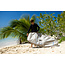 Wing Boardbag Single – Beskyttelsesbag for Wing Boards