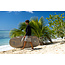Wing Boardbag Single – Beskyttelsesbag for Wing Boards