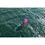 Duotone Skybrid SLS – Freeride / Freefly / Parawing Foilboard