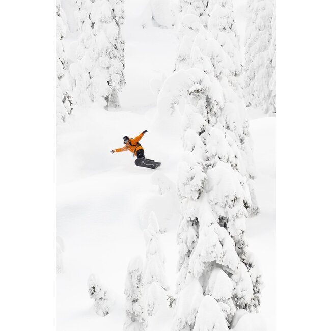 Lib Rig 2026 - Directional | Flex 6