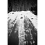 Slash Blank Drop Happy Place – Allsidig unisex park- og allmountain snowboard