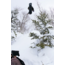 Ravine Pro 2026 Snowboard