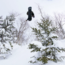 Ravine Pro 2026 Snowboard