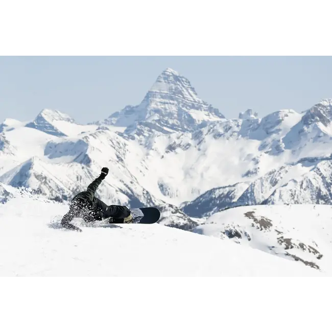 Cold Brew + Bent Metal Lightning Supermatic®