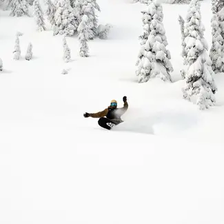 Lib-Tech Orca + Bent Metal Axtion