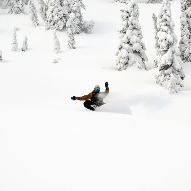 Lib-Tech T.Rice Orca + Bent Metal Axtion