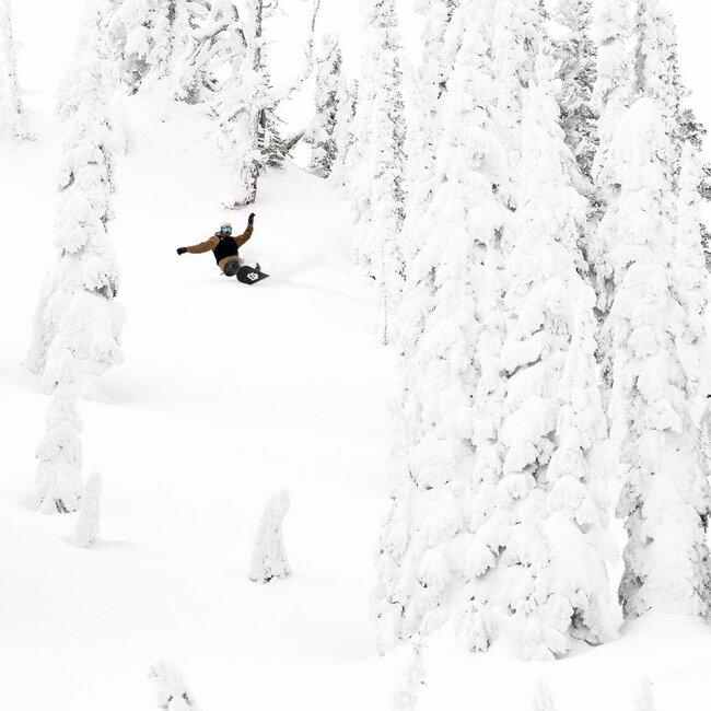 Lib-Tech T.Rice Orca + Bent Metal Axtion