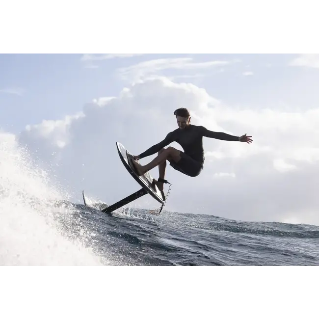 Front Wing Crest D/Lab