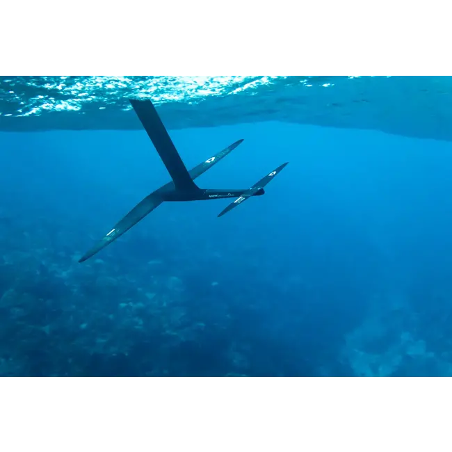 Front Wing Crest D/Lab