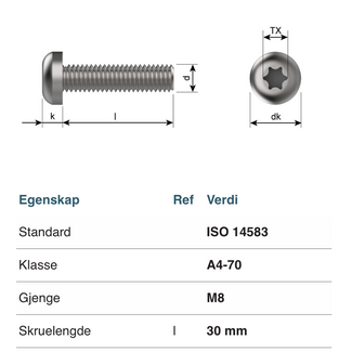 Bolt - A4 M8x30 - Torx 45- FLATT HODE