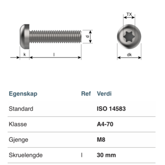 Bumax Bumax - Bolt - A4 M8x40 Bumax88 - Torx 45- FLATT HODE