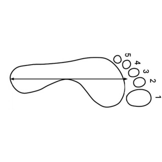 Entity Ergo - Black/Turquoise