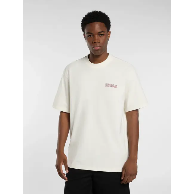 Dickies Fairlawn Midweight T-Shirt | 230 GSM Bomull med Vintage Ryggprint