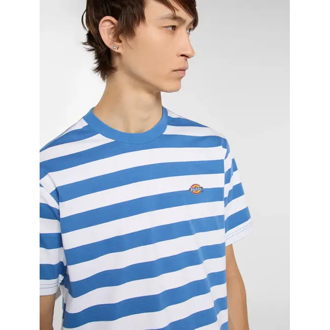 Dickies Rivergrove T-skjorte Herre – Stripete Bomulls T-Skjorte