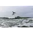 Float SLS Wing – Ultralett wave wing med Penta-TX m/bom