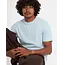 Stone Blanks T-skjorte – Light Blue Acid Classic Fit