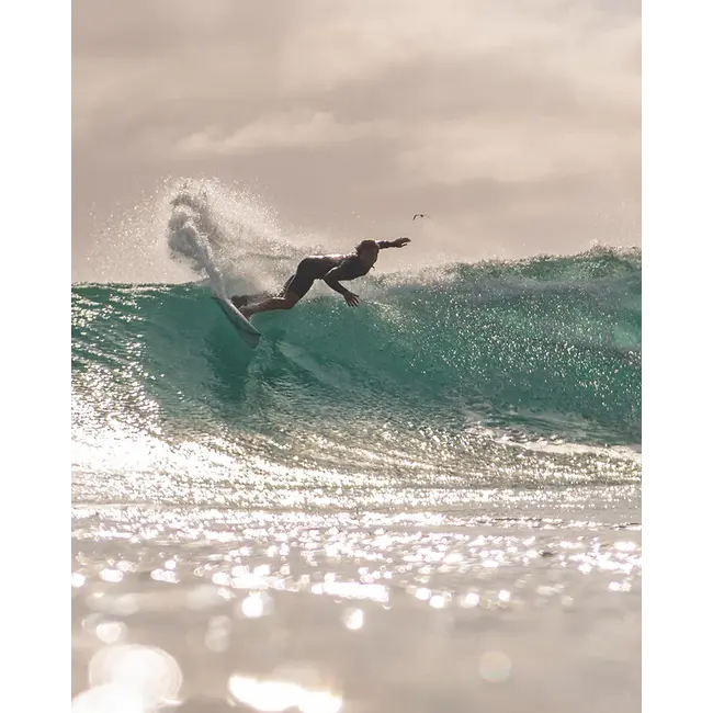 Aloha Surfboards Jalapeno PU Shortboard Surfebrett