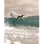 Aloha Surfboards Jalapeno PU Shortboard Surfebrett