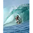 Aloha Surfboards Jalapeno PU Shortboard Surfebrett
