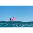 Float Wing m/bom - Wave / Freefly Wing Foil