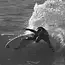 Twin+1 Futures Honeycomb Fin Set til Twin og Modern Fish Surfebrett