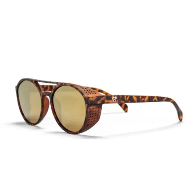 Rickard Polarized Solbriller Matte Turtle Brown / Brown