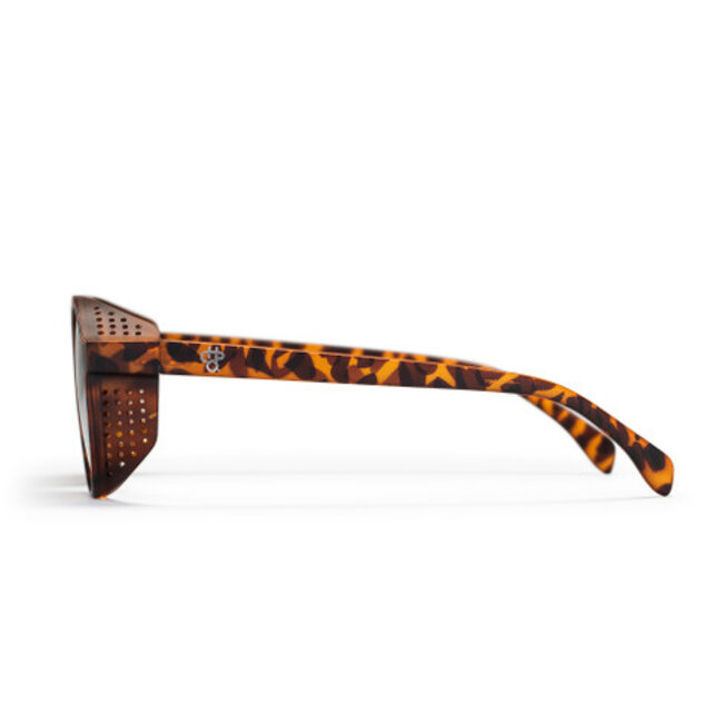 Rickard Polarized Solbriller Matte Turtle Brown / Brown