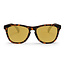 Bodhi Matte Turtle Brown Solbriller med Polariserte Gold Mirror-linser