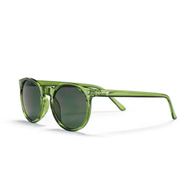 Anchor Point Forest Green Solbriller med UV400-beskyttelse