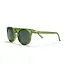 Anchor Point Forest Green Solbriller med UV400-beskyttelse