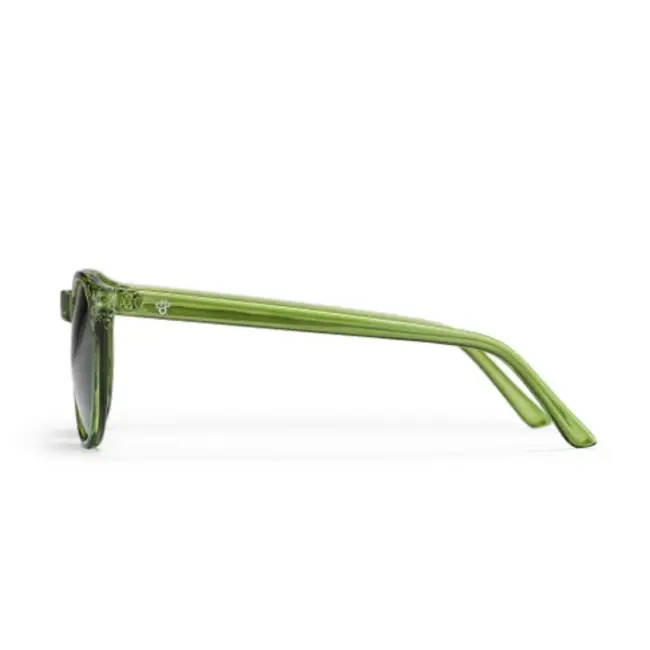 Anchor Point Forest Green Solbriller med UV400-beskyttelse