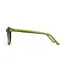 Anchor Point Forest Green Solbriller med UV400-beskyttelse