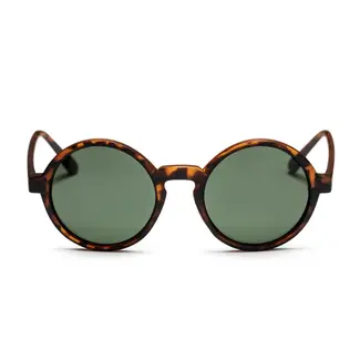 CHPO Sam Polarized - Matte Turtle Brown