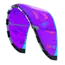 Evo 2026 - Purple