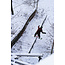 Agent Snowboard – True Twin Freestyle / Park – Fusion Camber