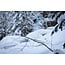 Stale Crewzer Snowboard – Ståle Sandbech All-Mountain / Freestyle