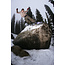 Men's Viper Snowboard – Directional Twin All-Mountain / Freestyle