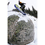 Men's Viper Snowboard – Directional Twin All-Mountain / Freestyle