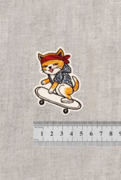 Strijkapplicatie - Skater