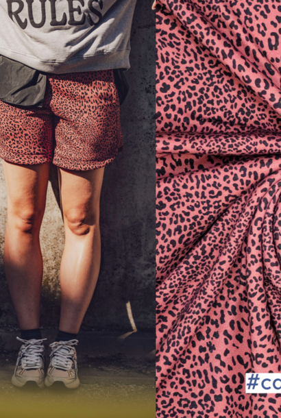Heavy jogging - (Carmel) Leopard