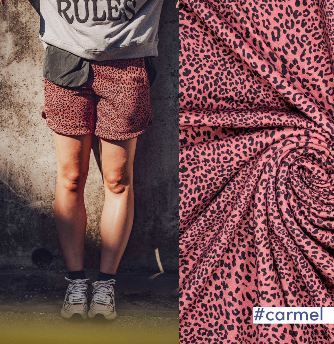 Heavy jogging - (Carmel) Leopard-1
