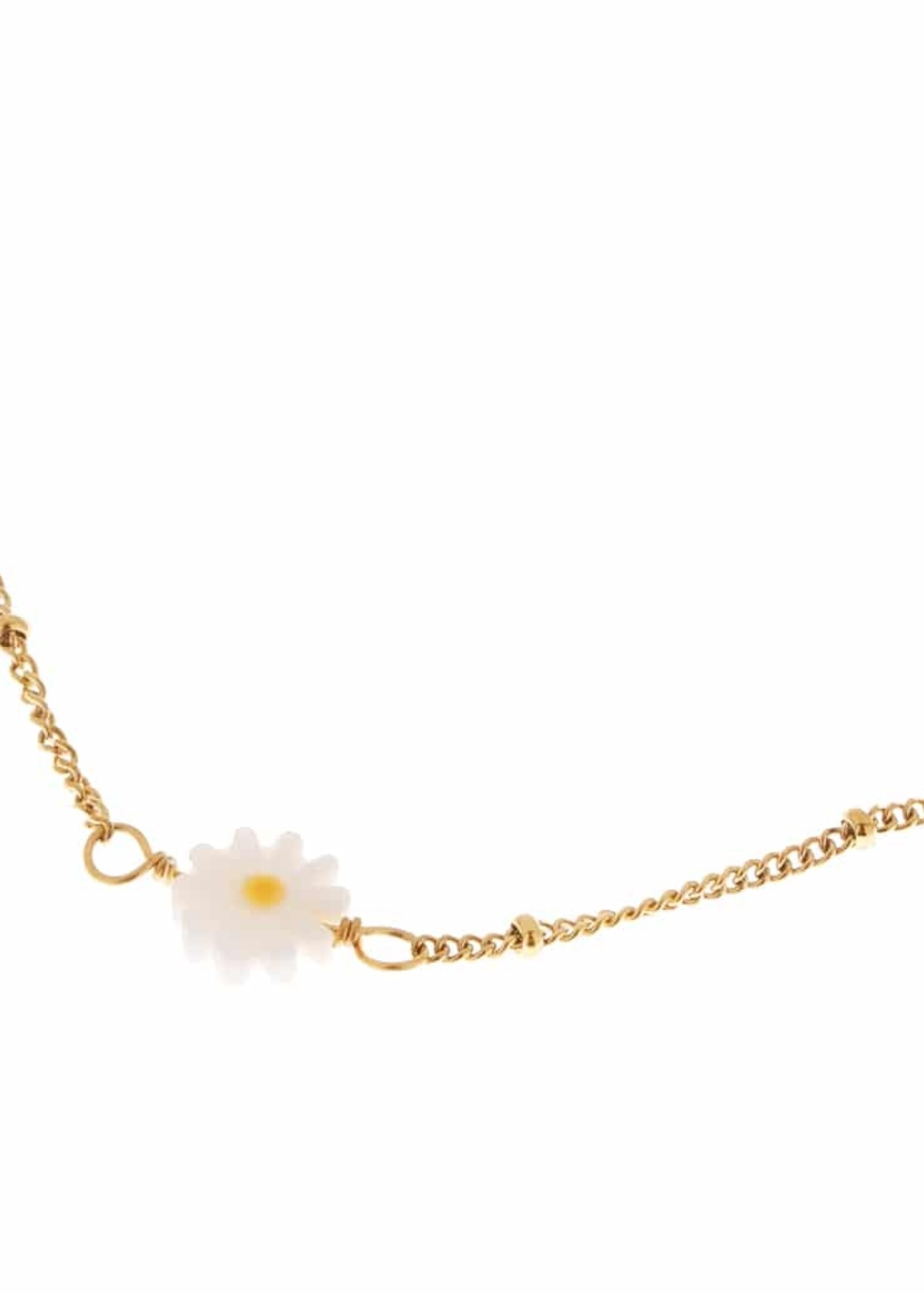 Label kiki Ketting Daisy Gold