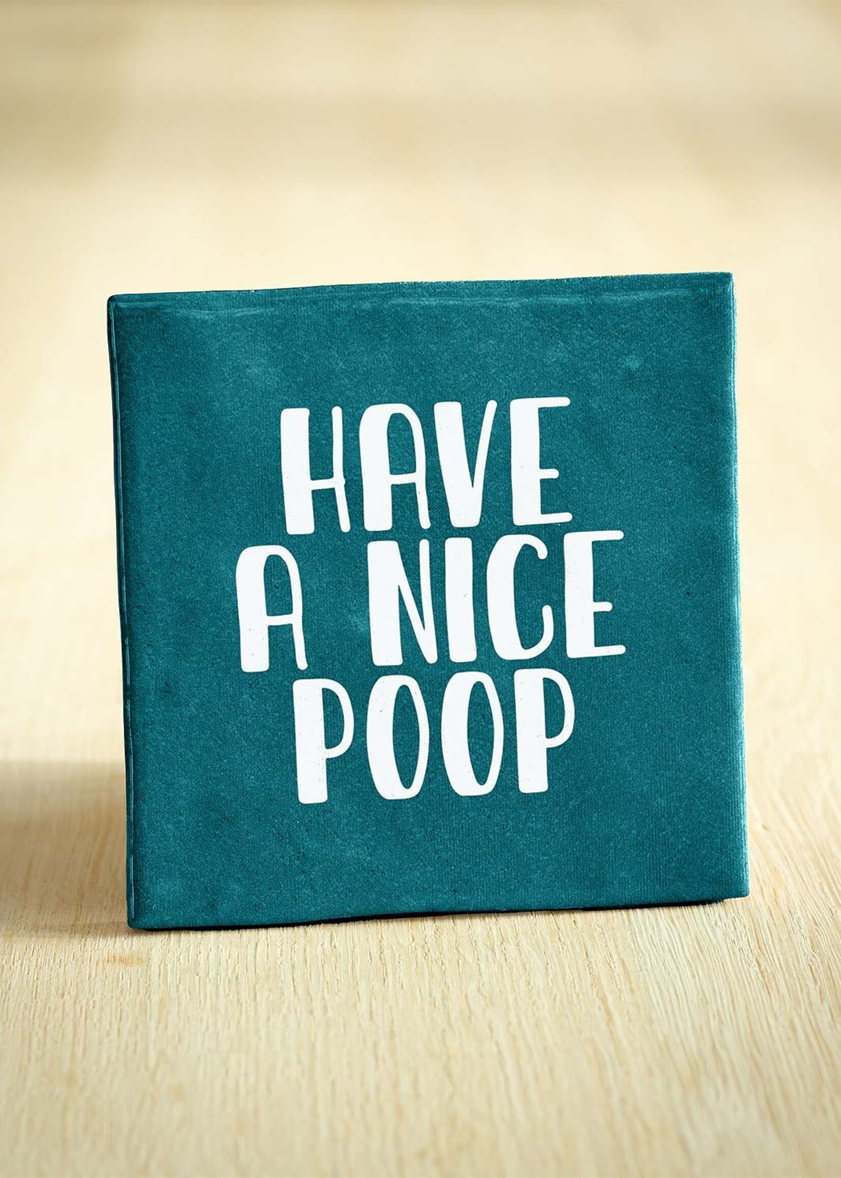 BONT Tegeltje – Have A Nice Poop | Turquoise | 10x10cm