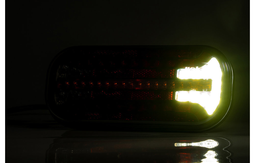 LED-Rücklicht mit dynamischen Blinker Abzeichen & Beleuchtung | 12-24V |