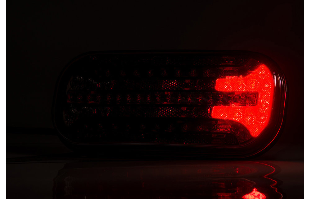 LED-Rücklicht mit dynamischen Blinker Abzeichen & Beleuchtung | 12-24V | 5PIN