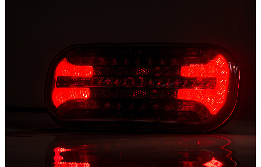 LED-Rücklicht mit dynamischen Blinker Abzeichen & Beleuchtung | 12-24V | 5PIN
