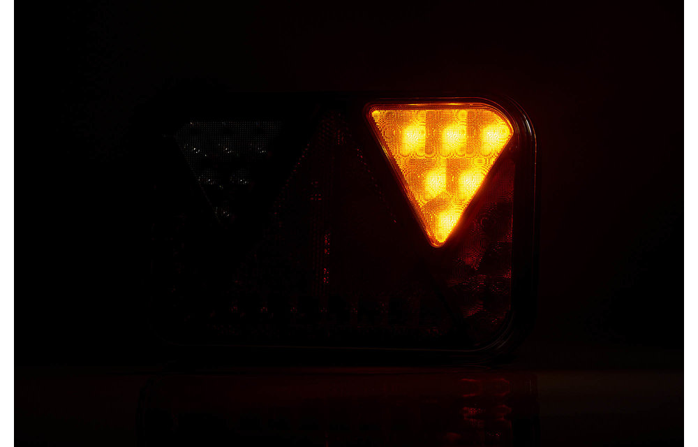 LED-Rücklicht links mit integrierter Canbus-Lösung und Rückfahrlicht 12V 5PIN